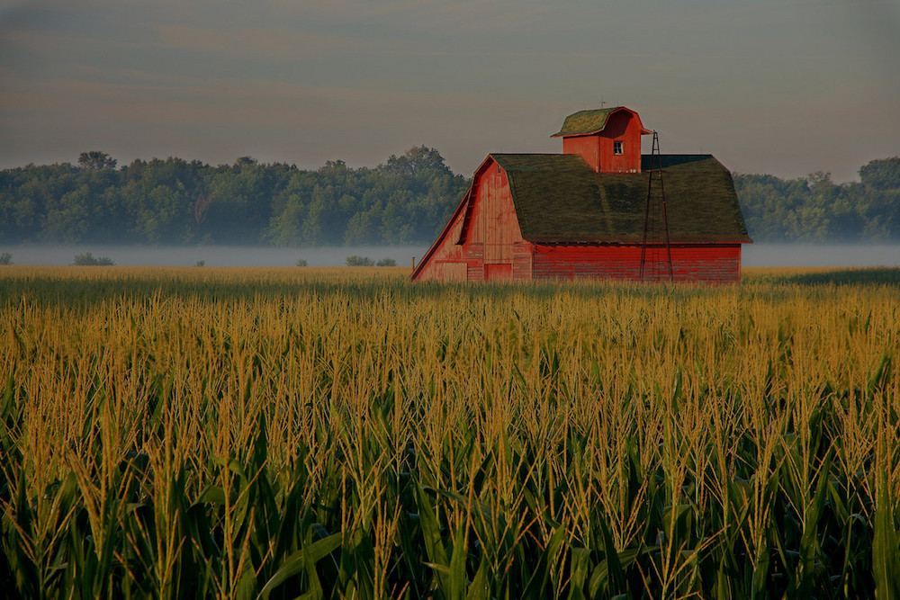 farm and crop insurance in Danville STATE | Rightmyer Insurance Agency